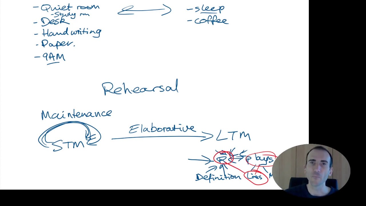 Factors that influence memory