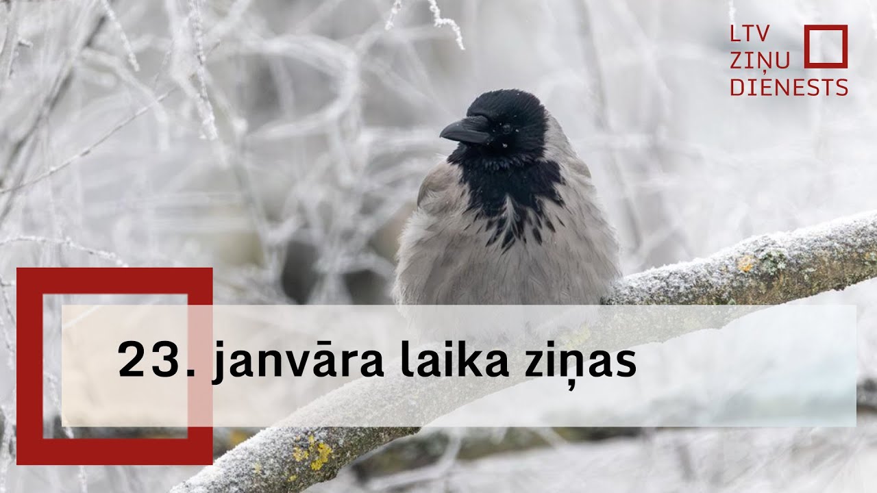 23. janvāra laika ziņas