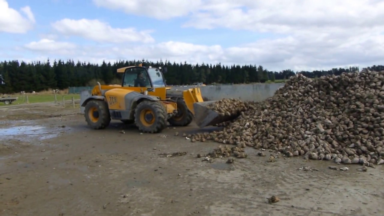 Walling Contracting Sugar Beet