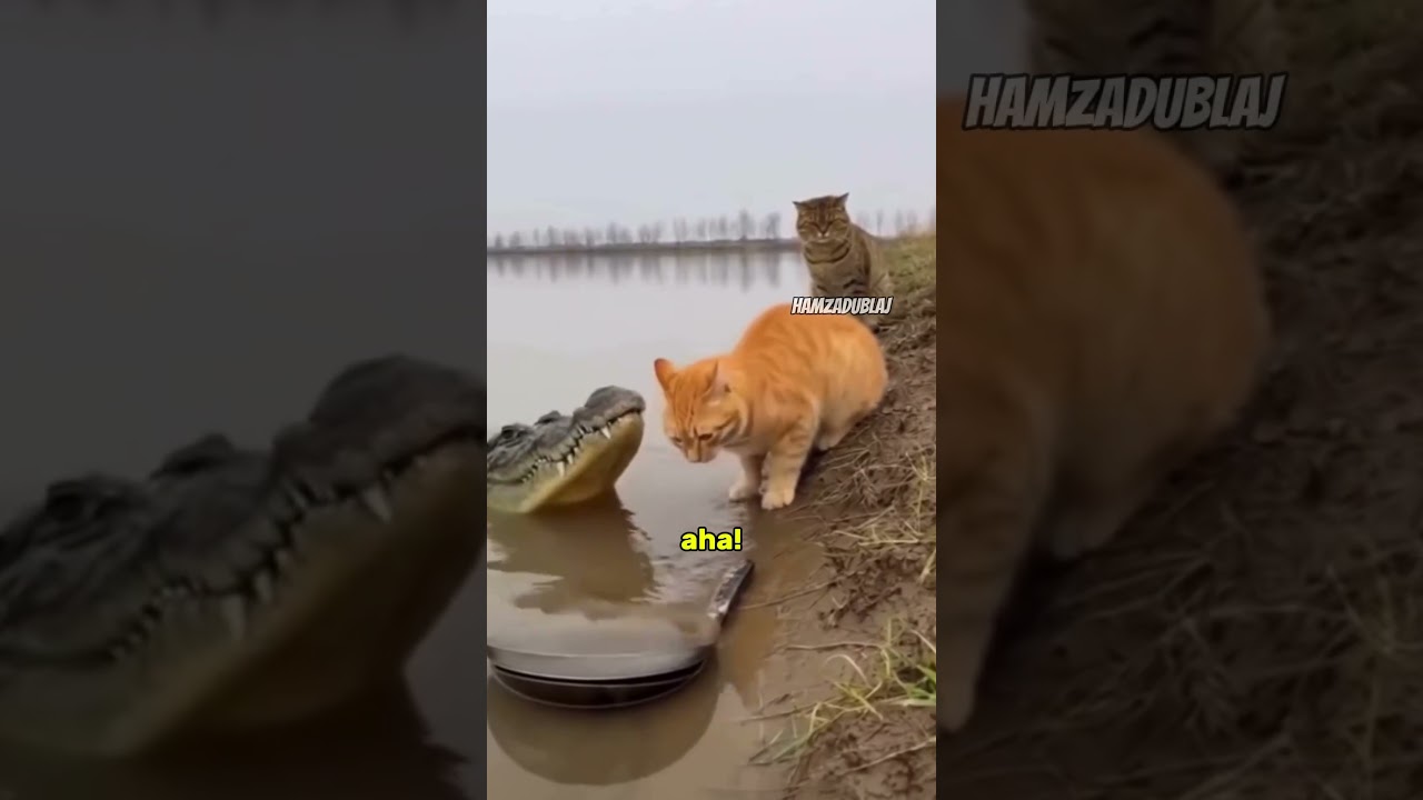 Besmele &Ccedil;ektik Mi?