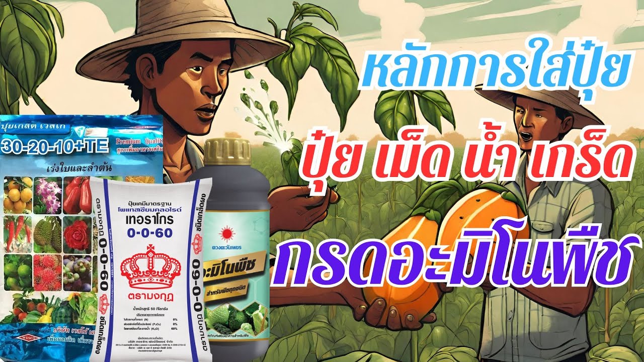 คลิปรวม...วิธีการใส่ปุ๋ยพืช+ ปุ๋ยเกร็ด ปุ๋ยน้ำ ปุ๋ยเม็ด + กรดอะมิโน