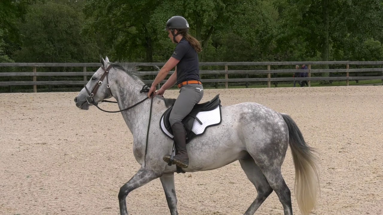 Vicki Wilson Equine Therapy PART ONE Sore Horse Clinic 2017