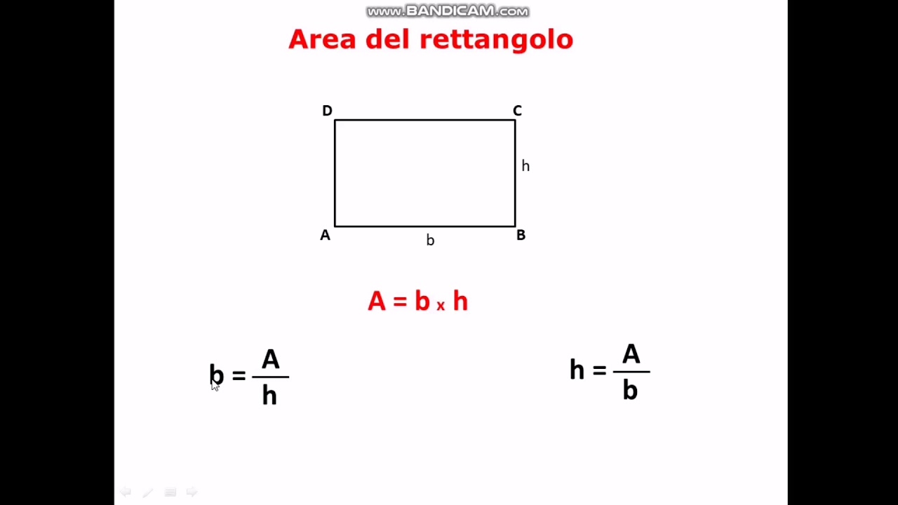 Area del rettangolo e del parallelogramma