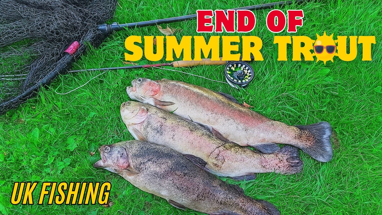 End of Summer Trout Stalking | How to Fly Fish & Nymph at Rockbourne