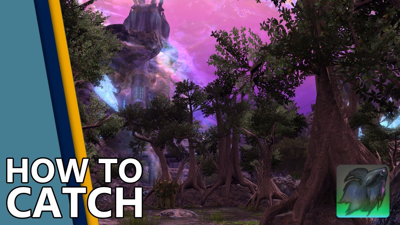 🌱How to catch Ninja Betta in FFXIV