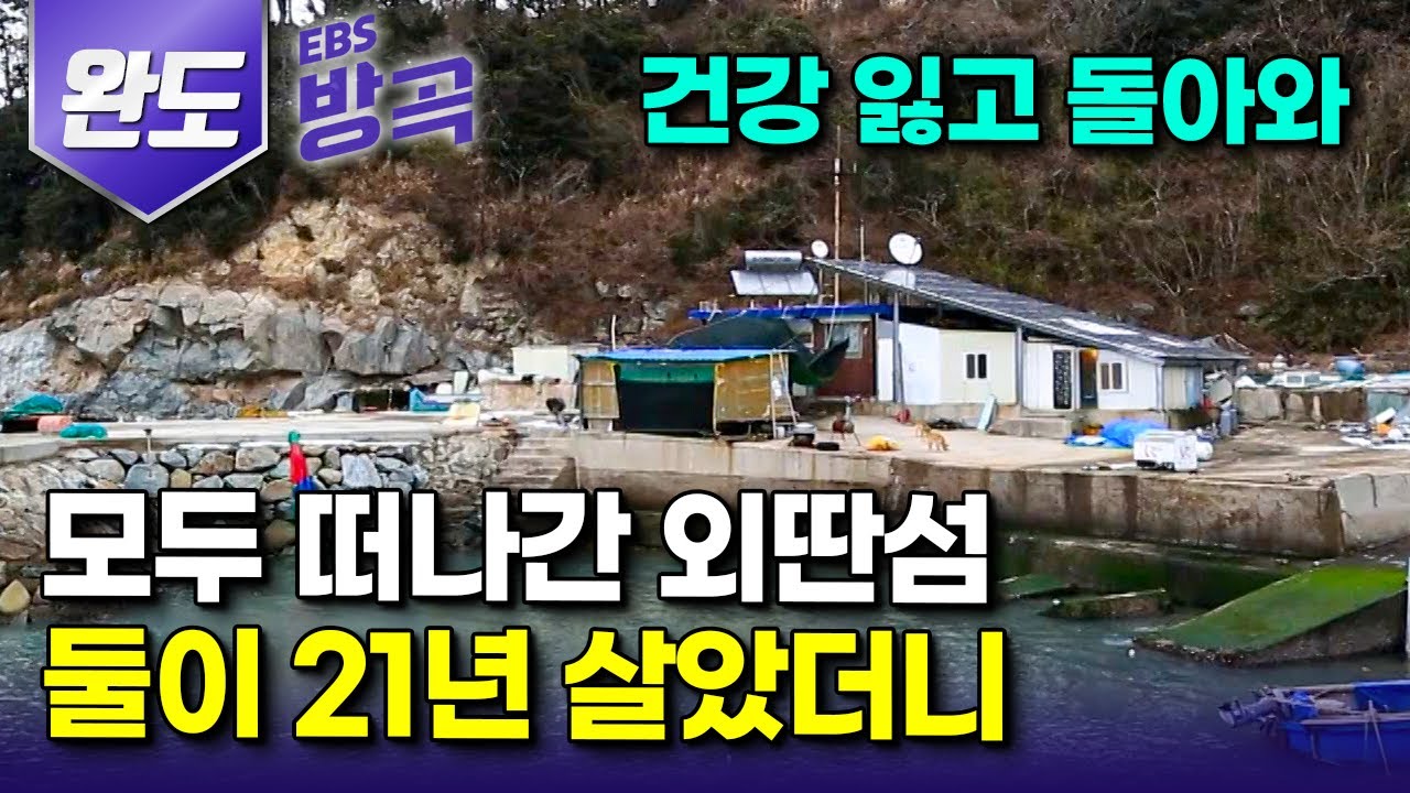 [전남 완도] 