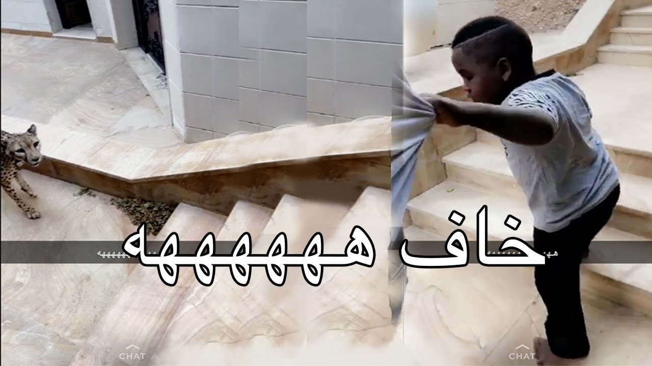 عزازي راح للفهد مره ثانيه