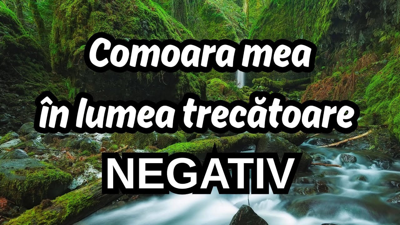 Comoara mea în lumea trecătoare - NEGATIV