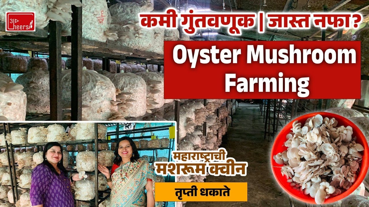Oyster Mushroom Farming खरंच फायदेशीर आहे का? | Real Business Reality | Low Investment Business 
