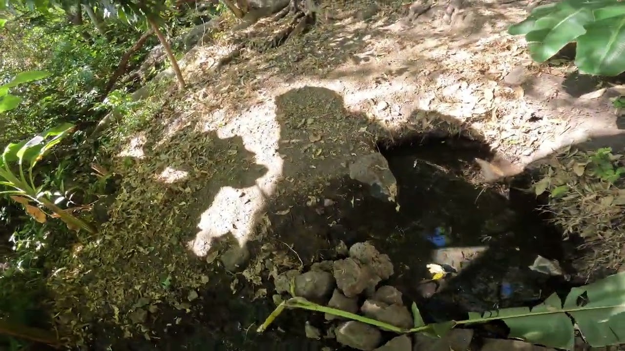 Ojo de Agua en Barranca de Huentitan Sobre altura de los escalones .