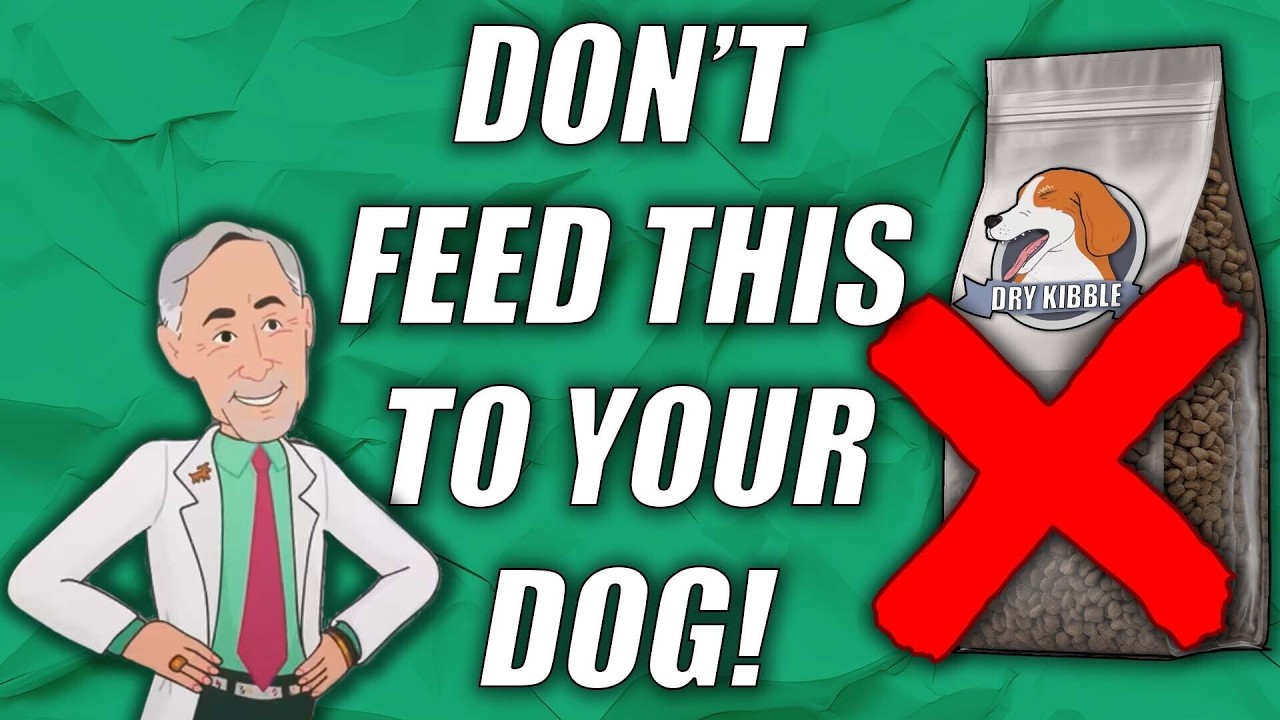 What to Feed Your Dog Instead of Kibble