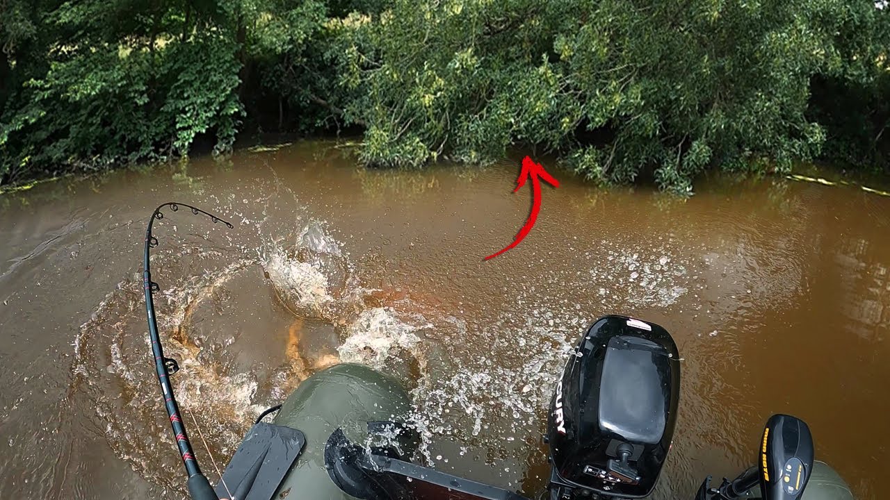 Catch a BIG CATFISH in a River Full of Obstacles!