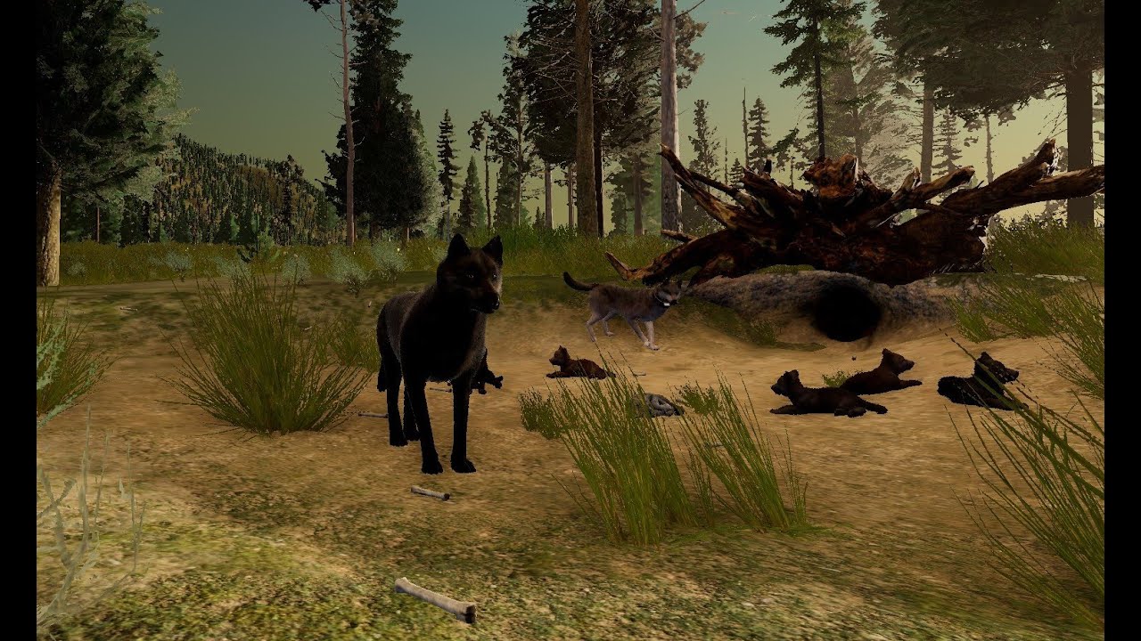 WolfQuest 3 Early Access: Greeted By A Grizzly & Rival Packs - Corvid #9