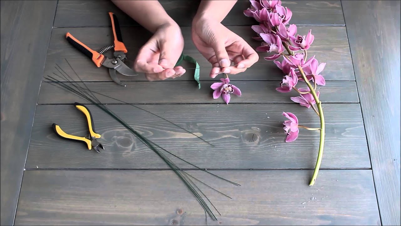 How to Wire a Cymbidium Orchid