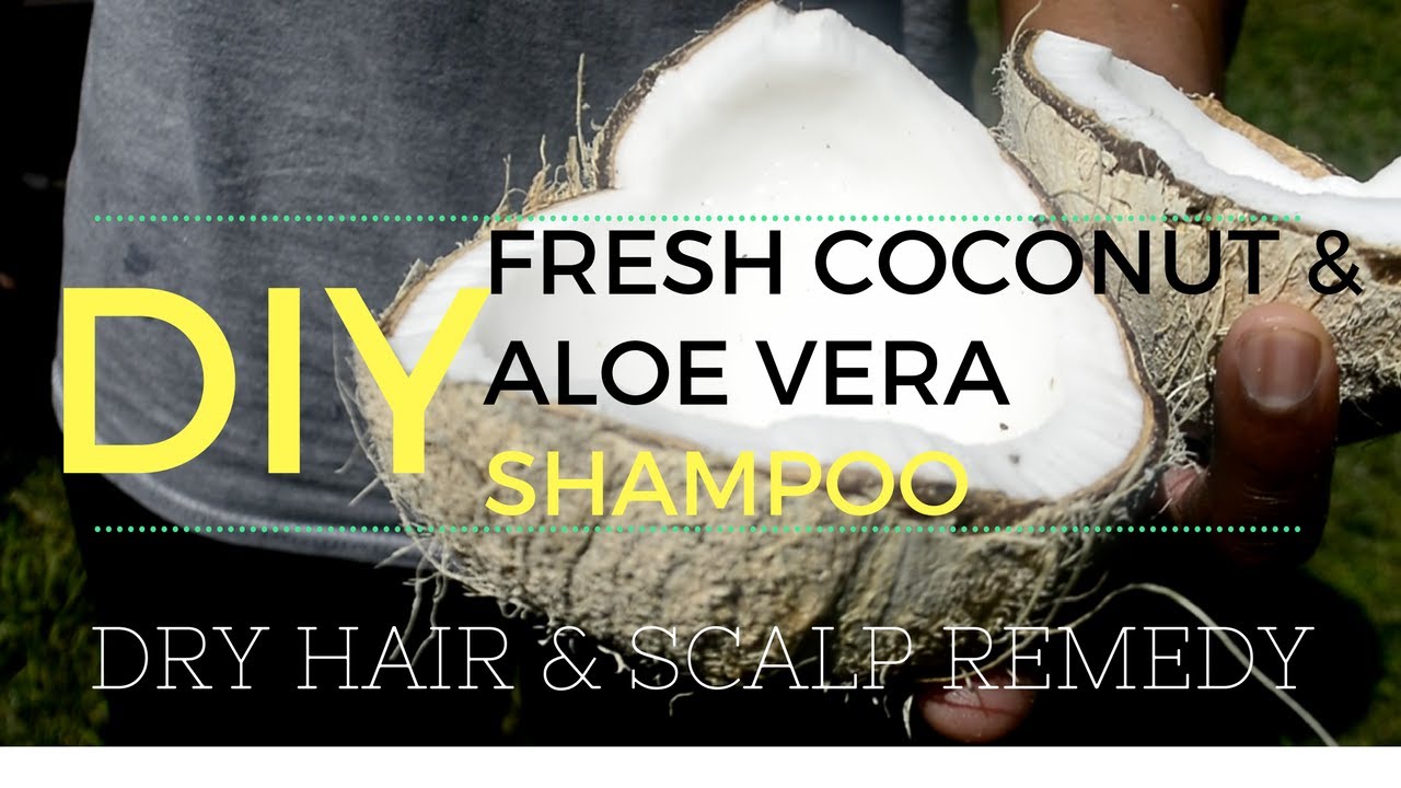 DIY Shampoo | Fresh Homemade Coconut Cream & Oil, and Aloe Vera Juice