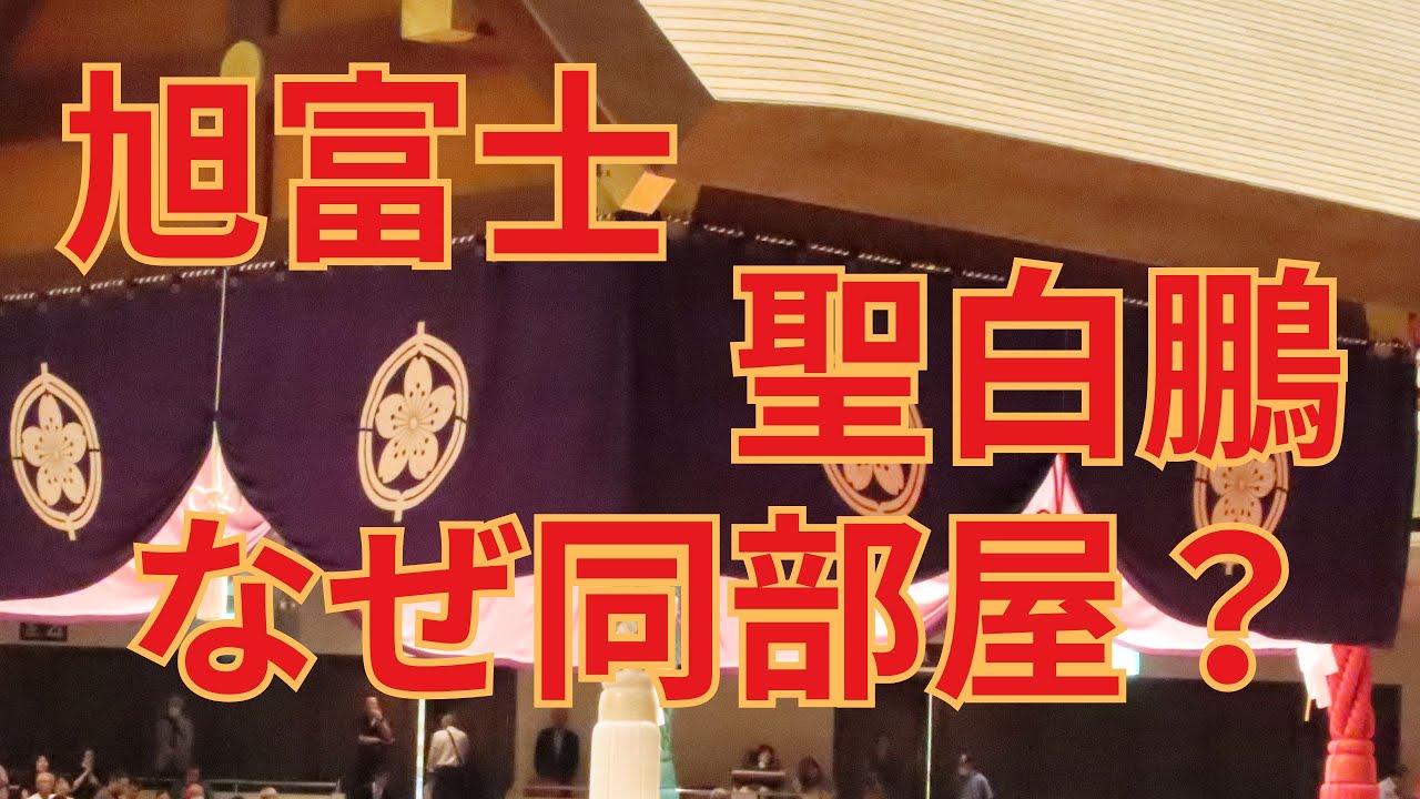 なぜ旭富士（オチルサイハン）と聖白鵬は同じ部屋？外国人（海外出身）力士を解説 #相撲 #sumo