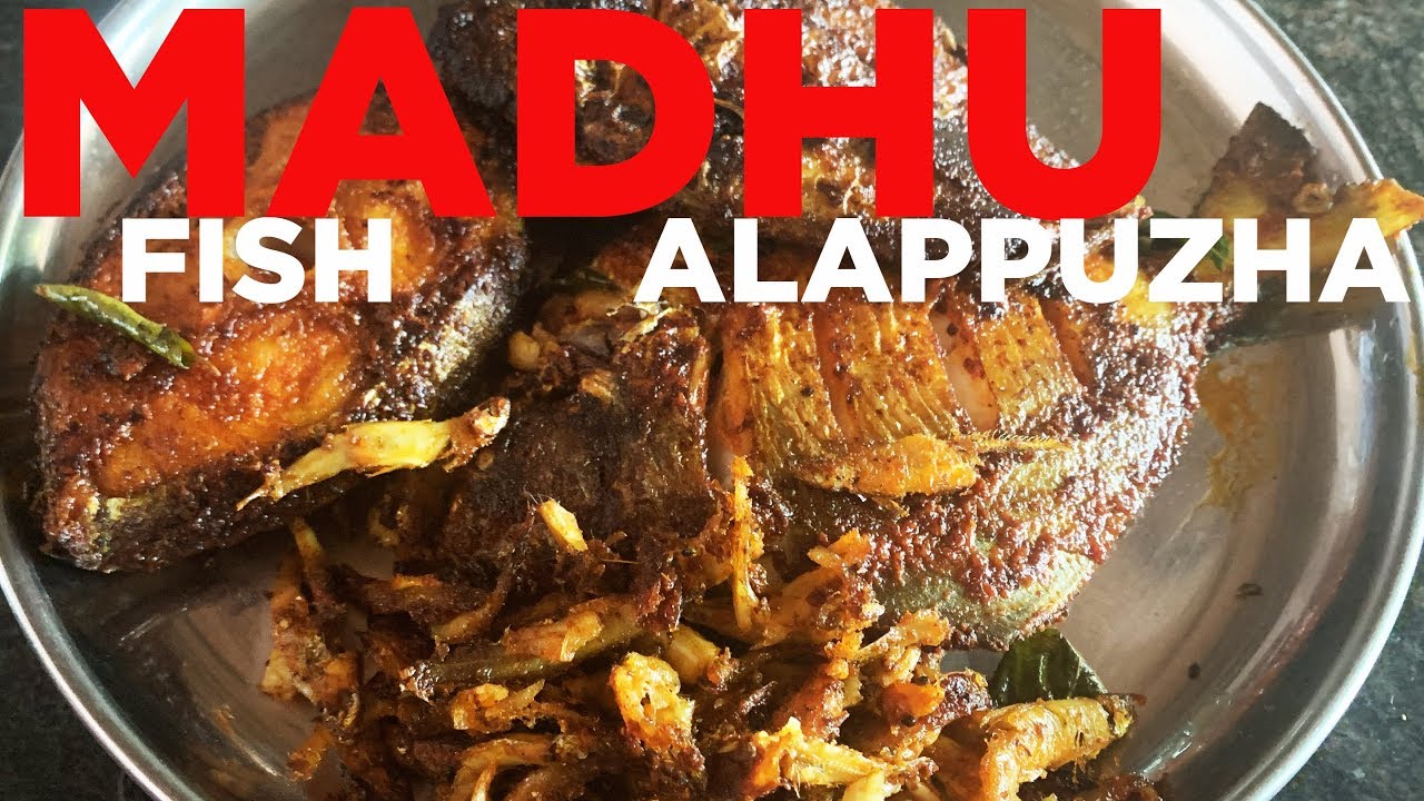 🌟 മധു ചേട്ടൻ - Madhu's Cherthala, Alappuzha