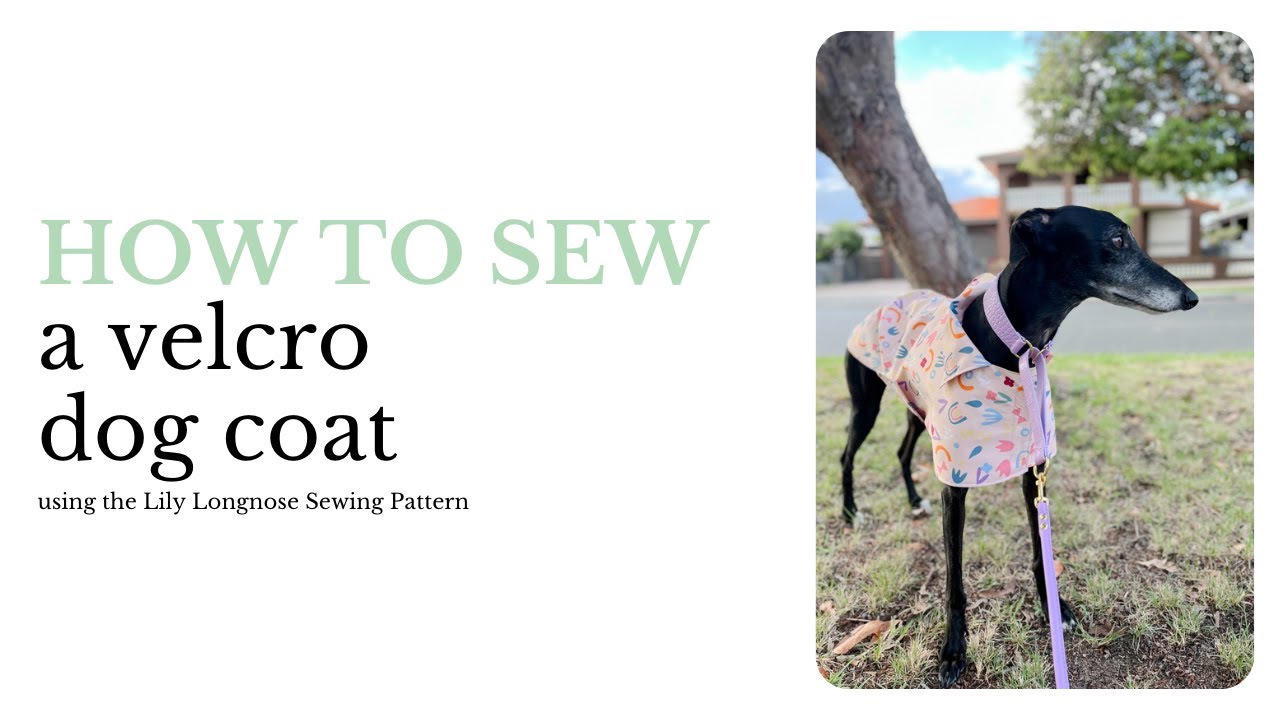 Velcro Dog Coat - Lily Longnose Sewing Tutorial