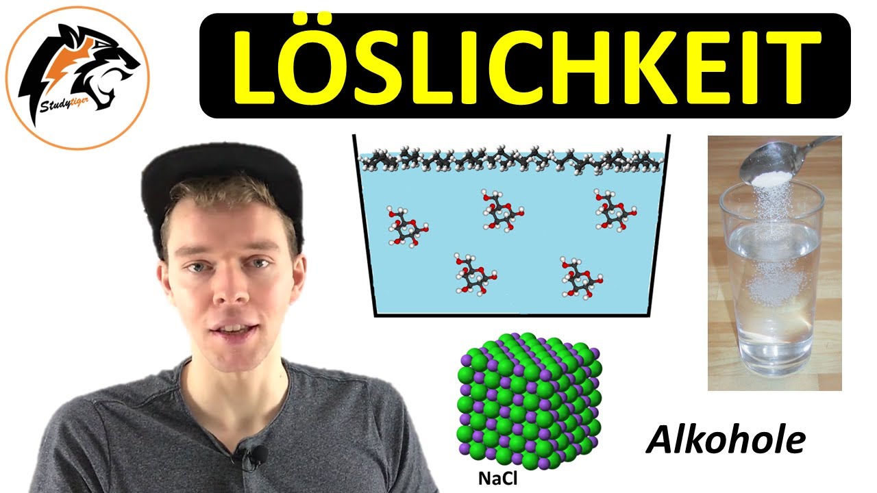 LÖSLICHKEIT erklärt – (Salze & Moleküle) | NEU