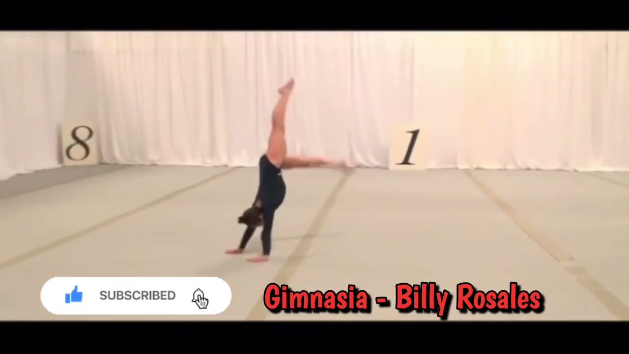 LEVEL 3 USAG GYMNASTIC'S (2021 - 2029)