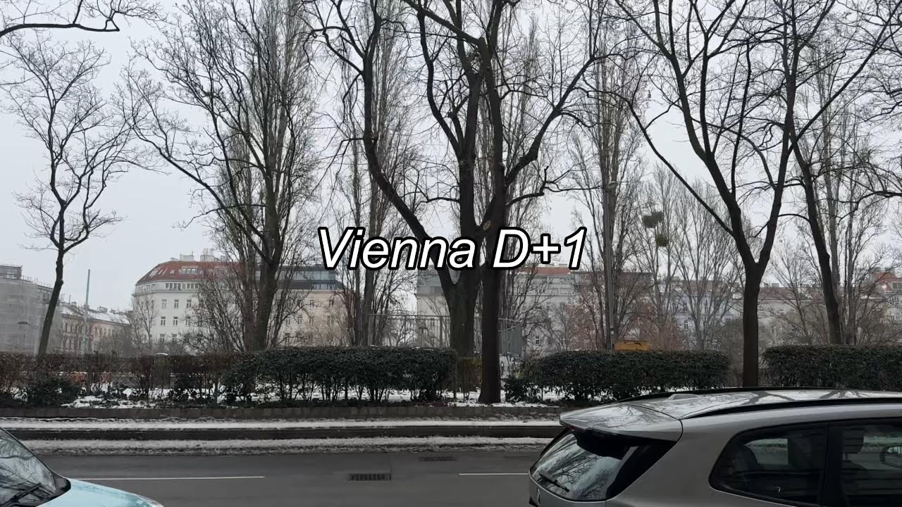 first day in Vienna🇦🇹 studying in the Vienna national library, buying first day essentials