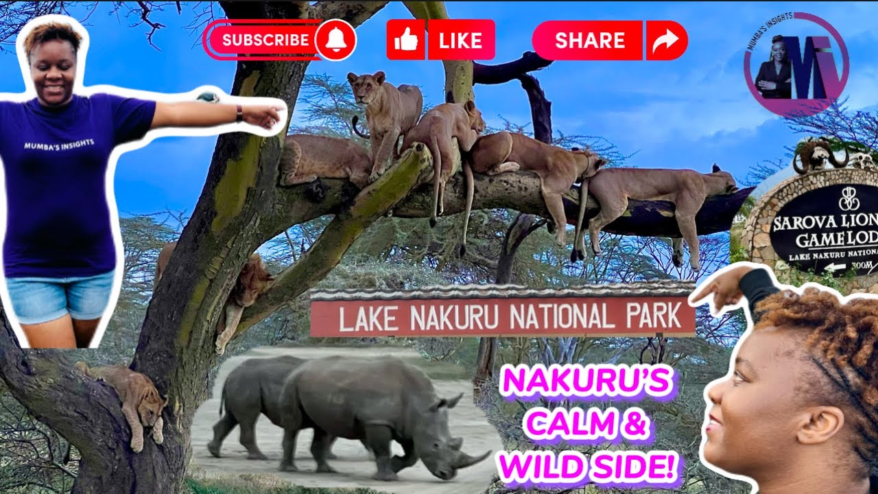 MY THOUGHTS ON KENYA’S SAFARI🤐 |  I AM IN LOVE!