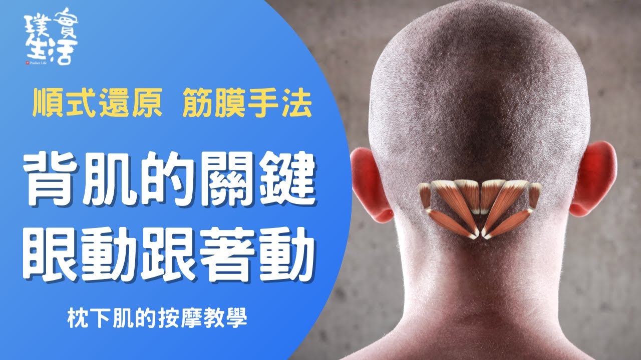【按摩教學】枕下肌 頭頸肌群 徒手操作 頭痛、眼睛乾澀、部分原因腰酸可以這樣做
