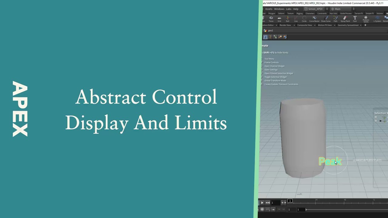 APEX Abstract Control Display And Limits