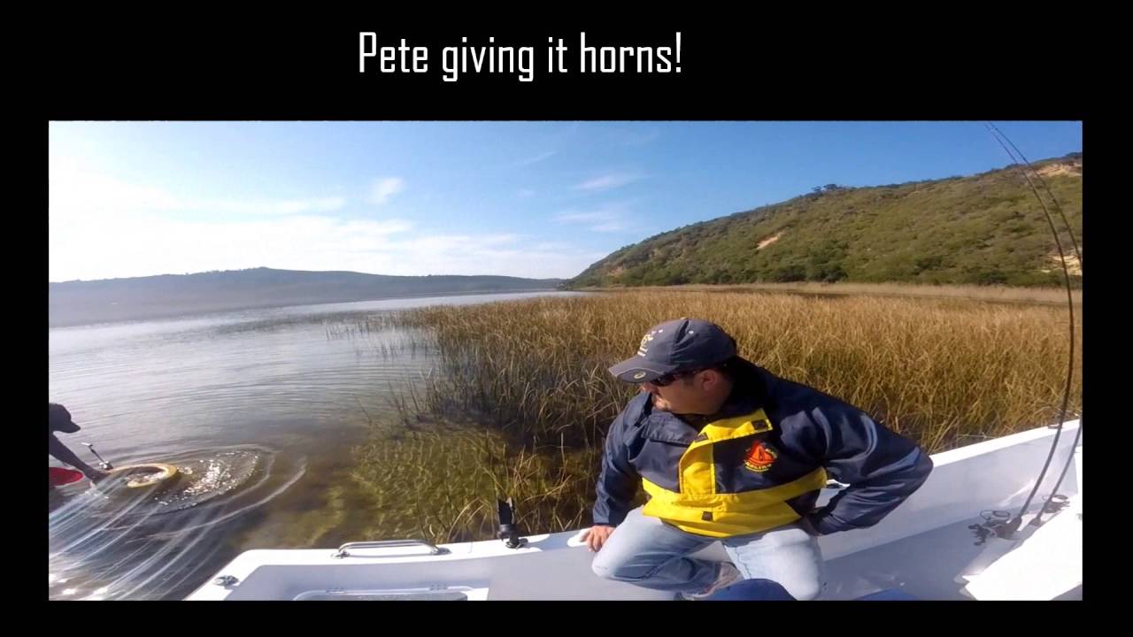 Spotted grunter fishing with Xtreme estuary fishing adventures