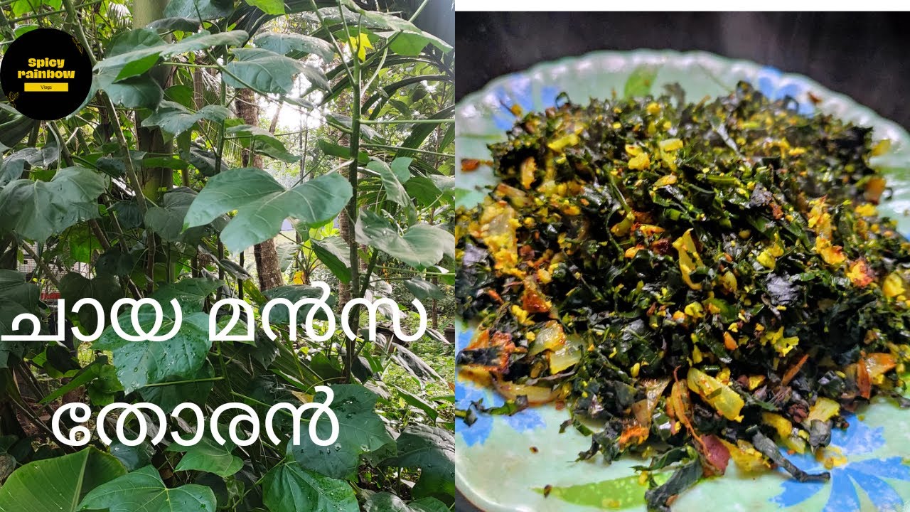 ചായ മൻസ തോരൻ |Chaya mansa thoran|Upperi recipe