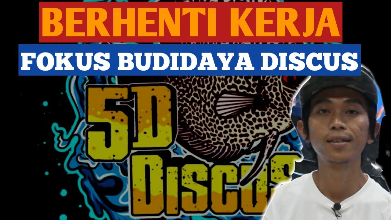 BERHENTI KERJA FOKUS BUDIDAYA IKAN DISCUS