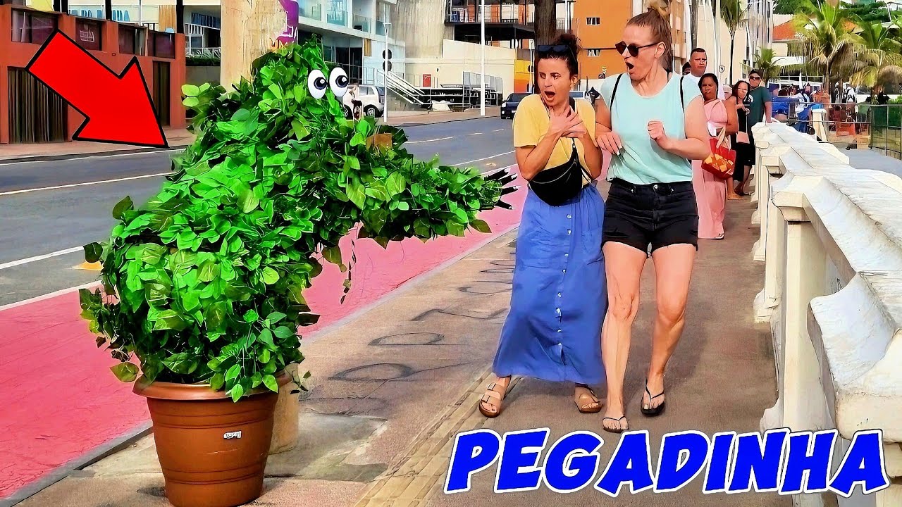 PEGADINHA NA PRAIA DA BARRA - Homem Planta 2025