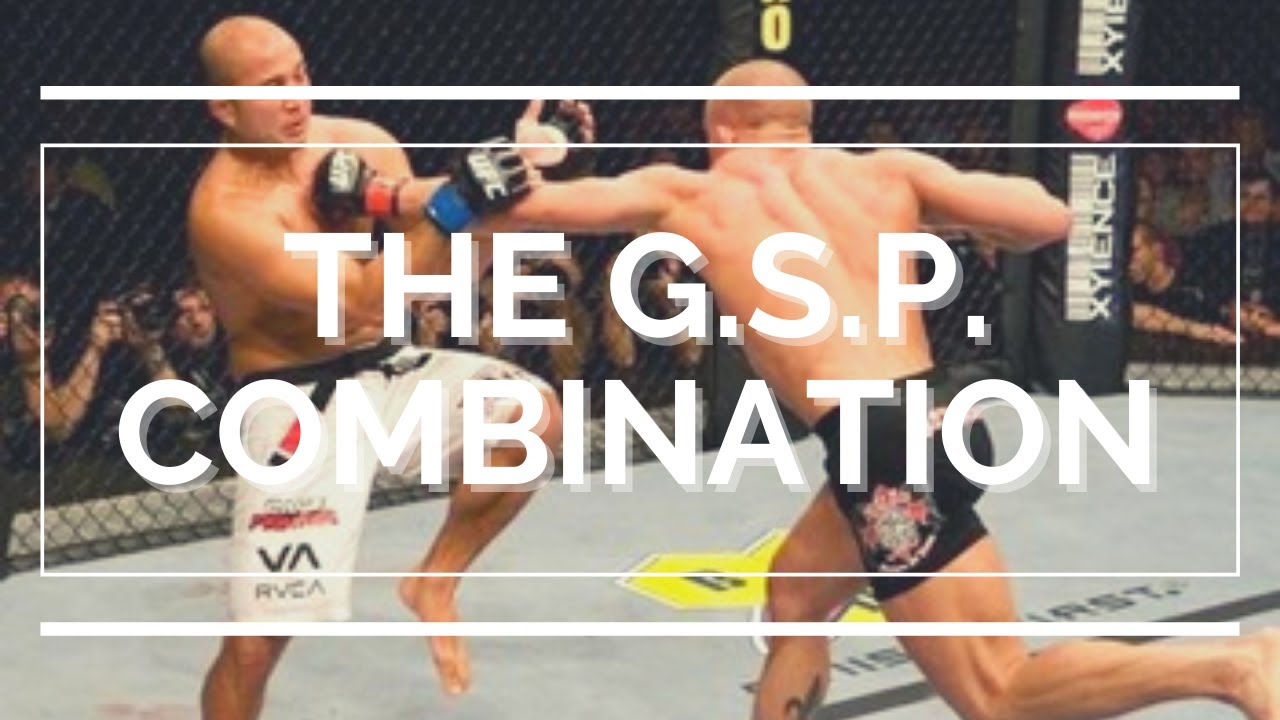 Fight Like St-Pierre - The GSP Combination
