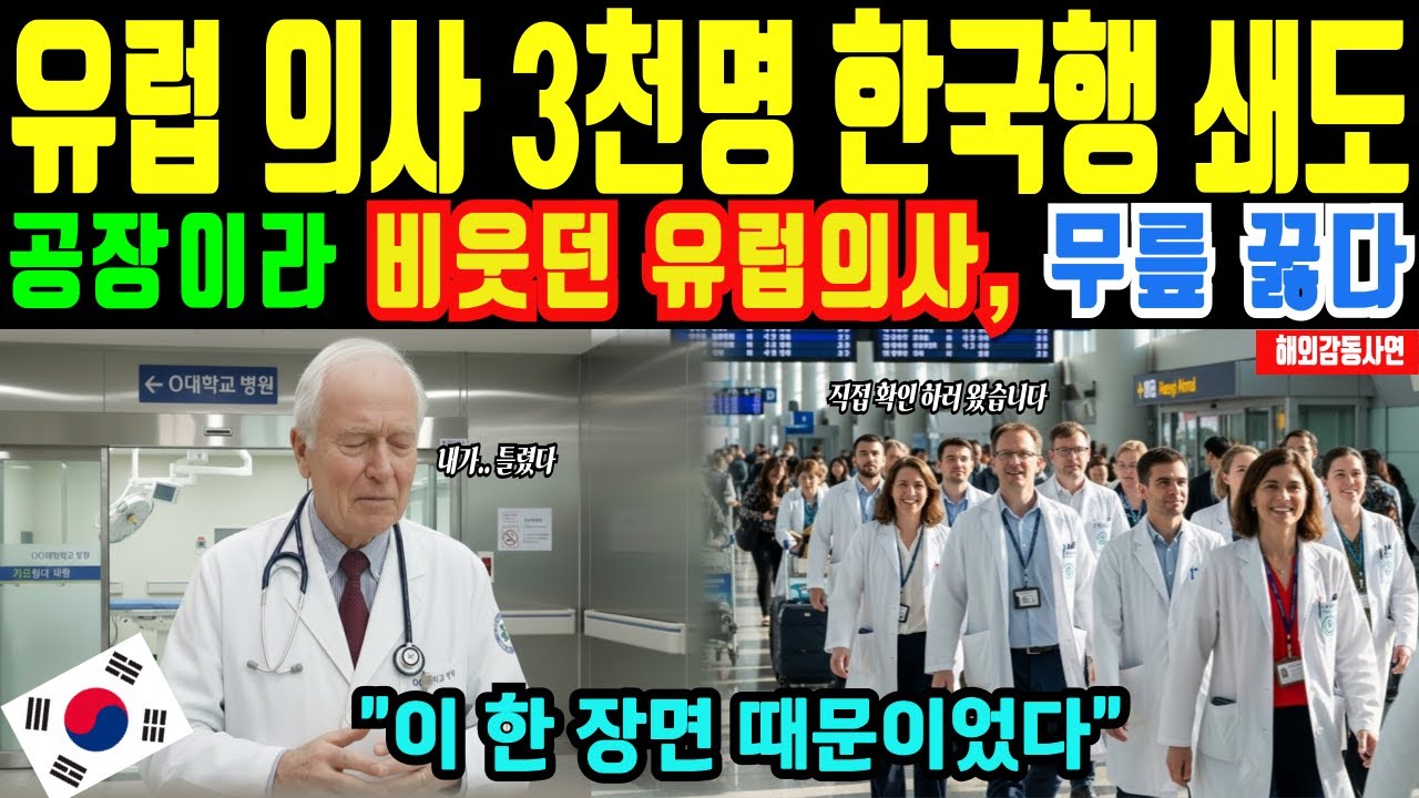 [해외감동사연] 인천공항 난리났다! 유럽 의사 3천명 한국행, 병원 도착 후 ‘단 한 장면’에 침묵한 이유