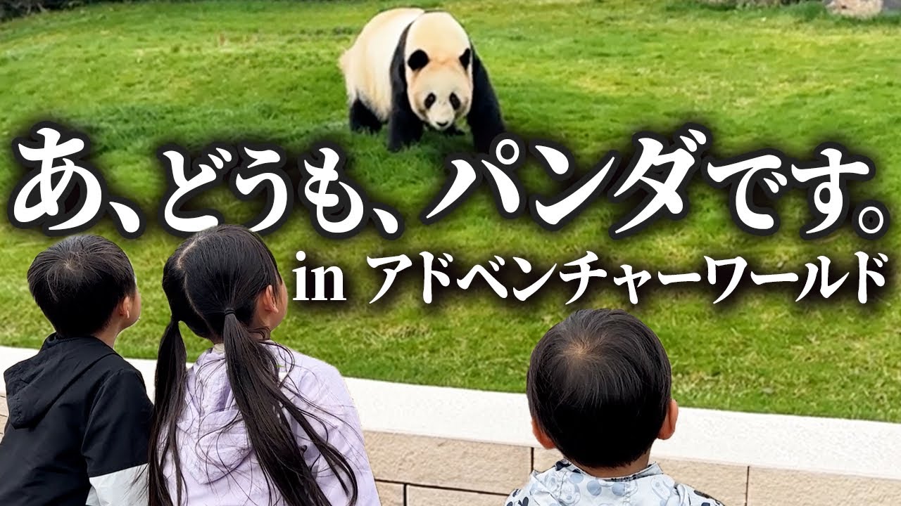 【アドベンチャーワールド】こんな近くでパンダが見れるなんて最初で最後やのに。。。6歳児男女双子＆3歳児末っ子の和歌山旅行