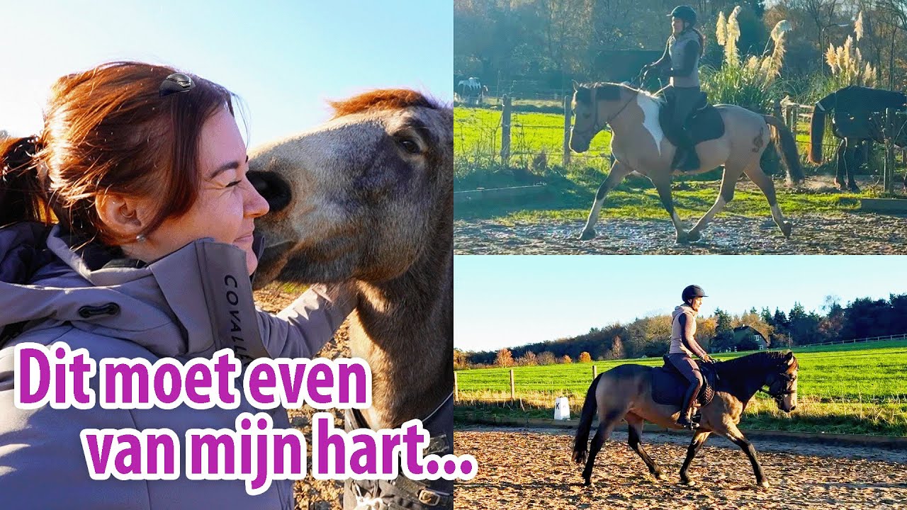 Beide paarden gaan fantástisch & dankbaarheid uitspreken... 🍂 Feline Fauve