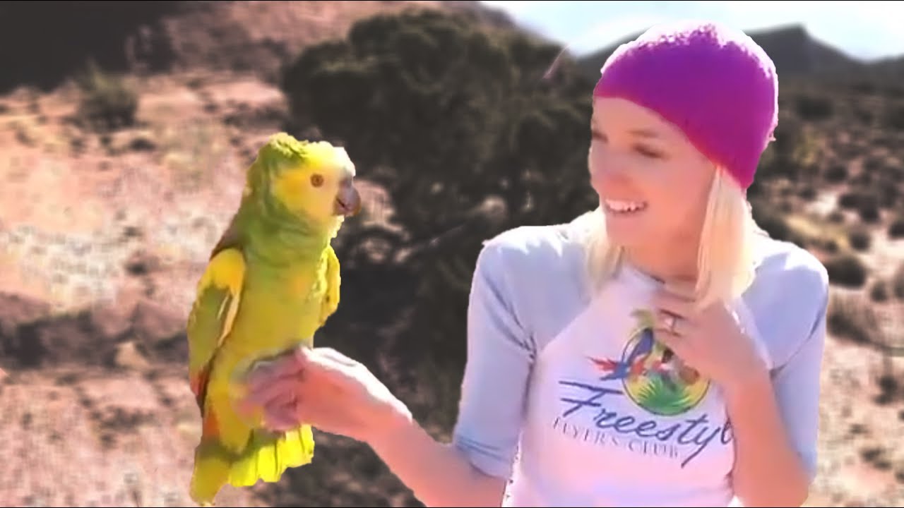 Freestyle Flying | Webisode 7