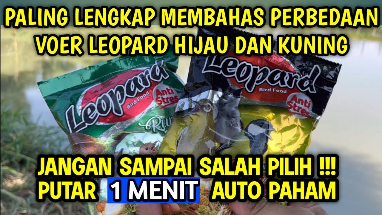 RAHASIA KANDUNGAN VOER LEOPARD TERUNGKAP !!! perbedaan voer leopard hijau dan kuning,voer leopard