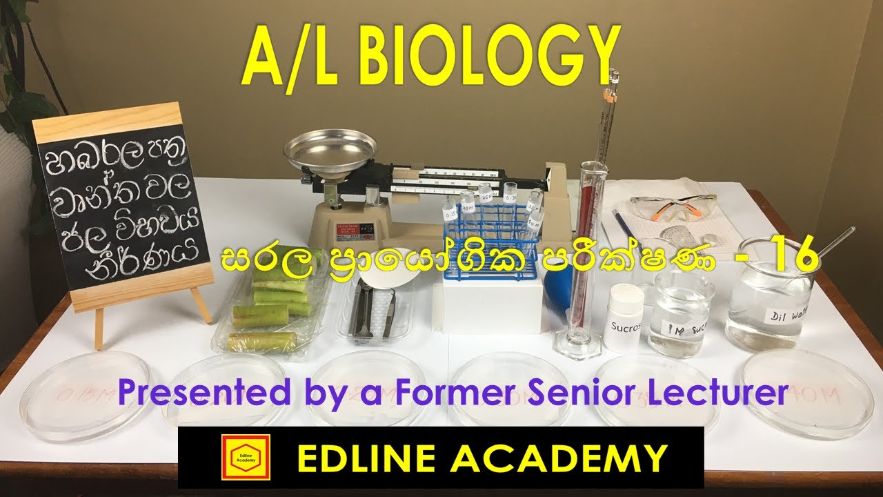 Determining the Water Potential of the Alocasia Leaf Stalks - Advanced Level Biology Sinhala Lessons