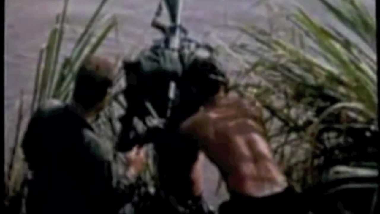 173rd Airborne Brigade (SEP) Vietnam 