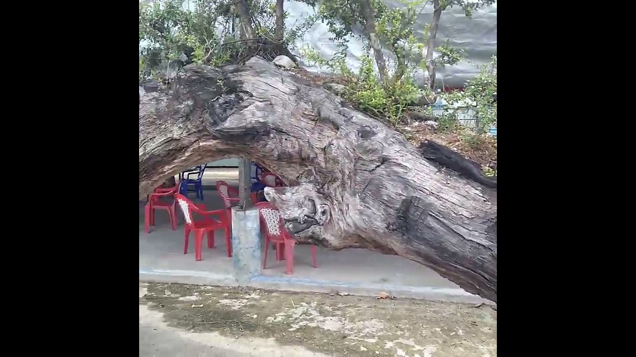 Sân Vân Động An Nhơn Tây Gia Lai t7n7t3n2026