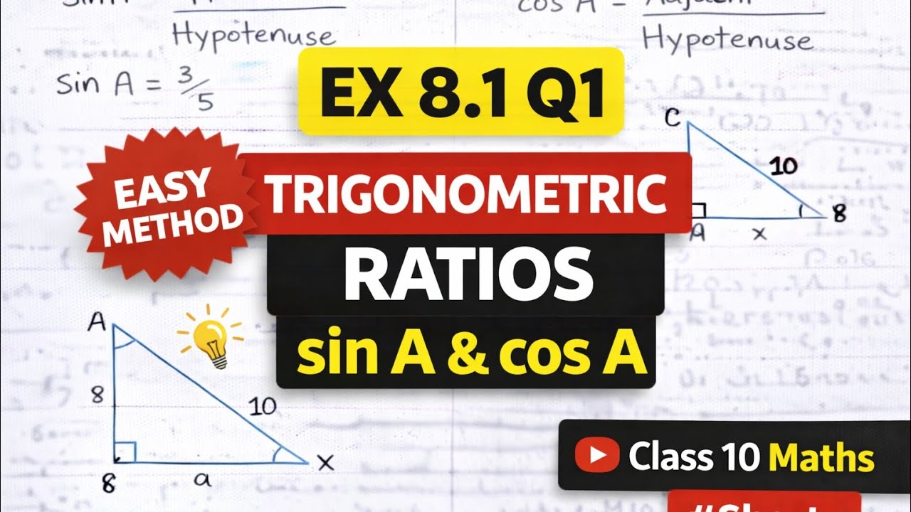 Exercise 8.1 Q1 | Trigonometric Ratios (sin A, cos A) | Class 10 Maths