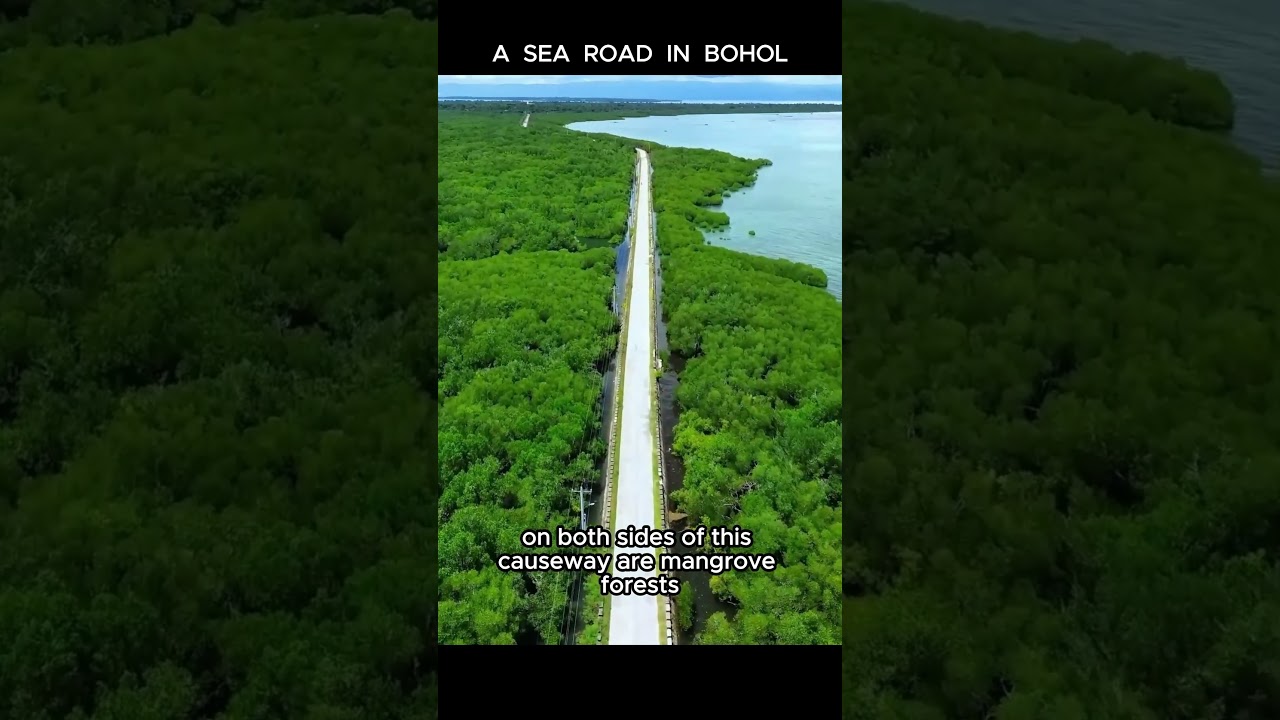 Longest Causeway 🌊 | Peaceful Sea Road in Calape Bohol 