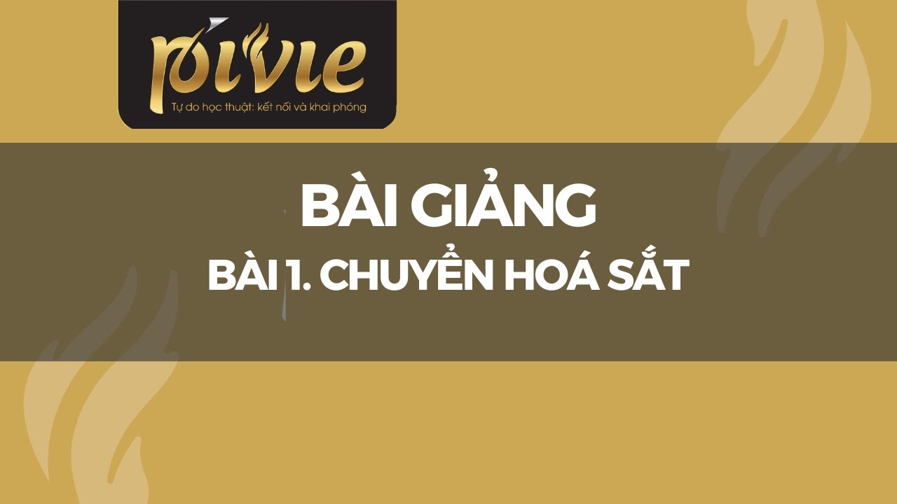 Bài 1. Chuyển hoá sắt - BS Phan Trúc