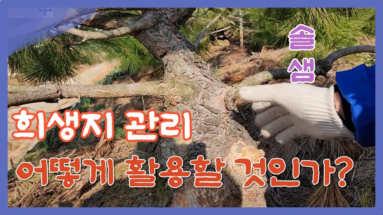 희생지 관리