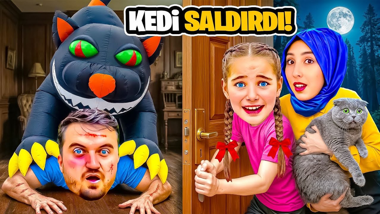 ELİF SİNEM DEV KEDİ BABANA SALDIRDI ‼️ 