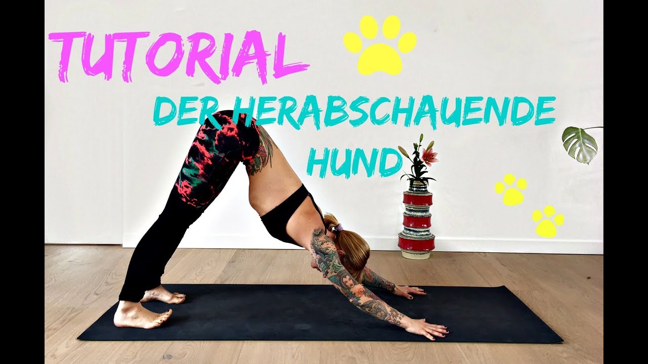 Tutorial des Tages: Der Herabschauende Hund