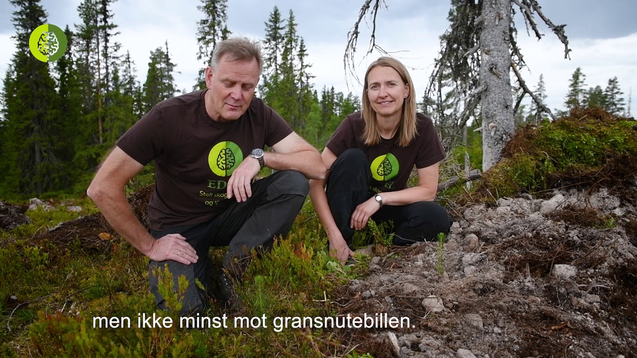 Markberedning
