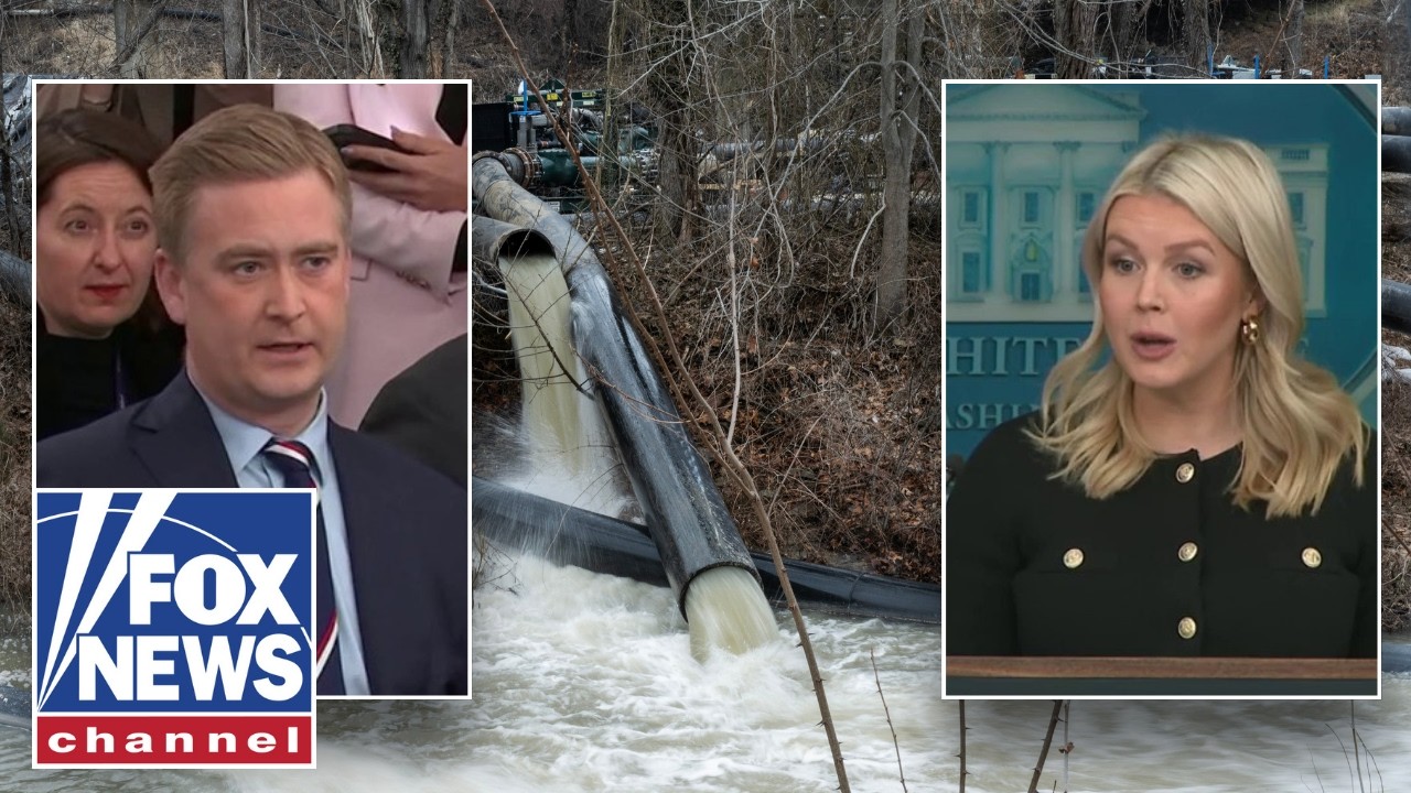 Leavitt says federal government has been 'preparing plans' after Potomac's sewage dump