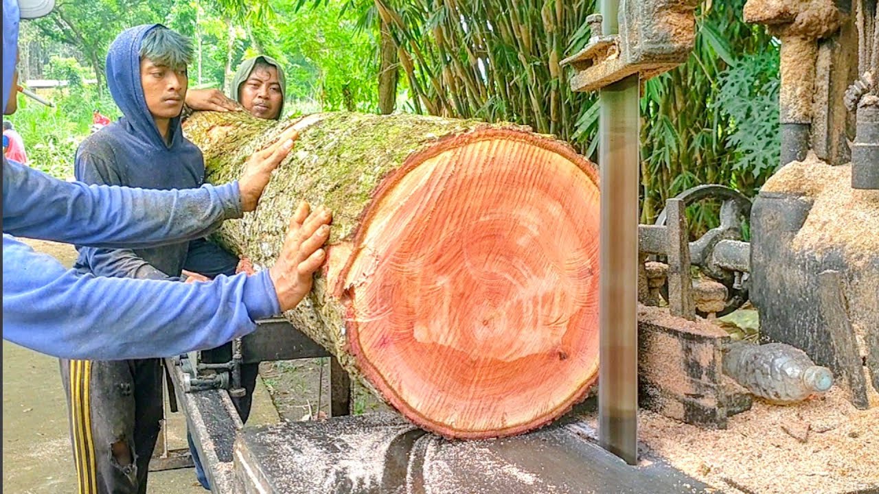 TUA dan BERLUMUT !! Penggergajian kayu merah mahoni - mesin Bandsaw rakitan